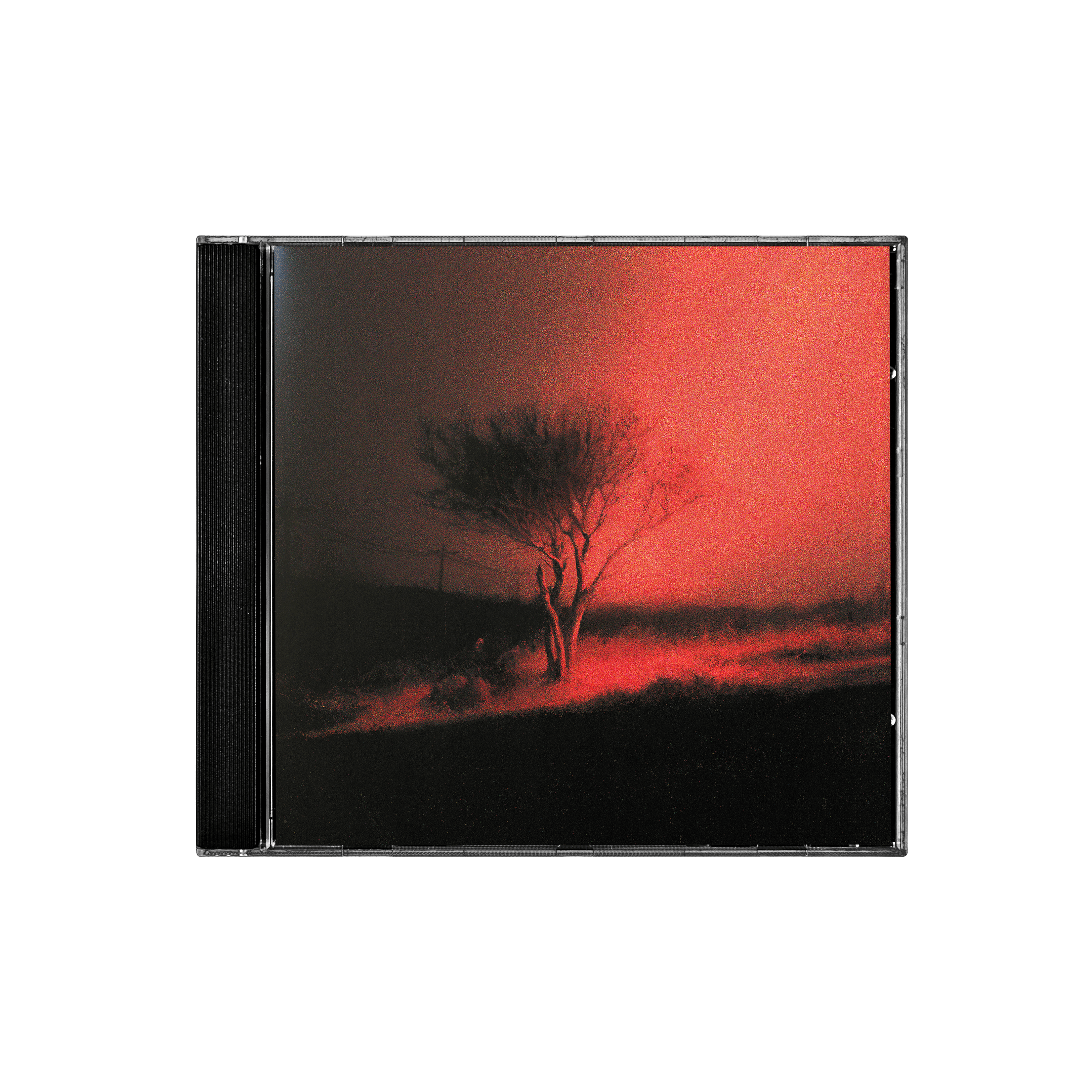 Joji Piss in the Wind CD